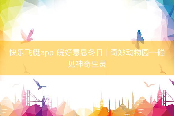 快乐飞艇app 皖好意思冬日 | 奇妙动物园—碰见神奇生灵