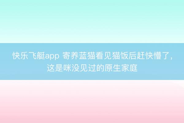 快乐飞艇app 寄养蓝猫看见猫饭后赶快懵了，这是咪没见过的原生家庭