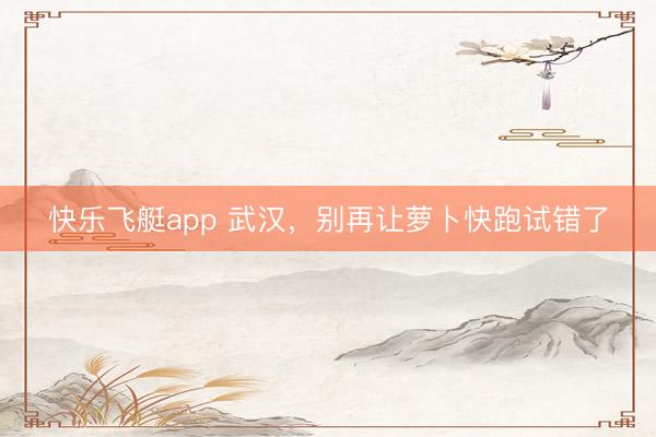 快乐飞艇app 武汉，别再让萝卜快跑试错了