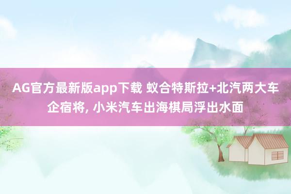 AG官方最新版app下载 蚁合特斯拉+北汽两大车企宿将， 小米汽车出海棋局浮出水面