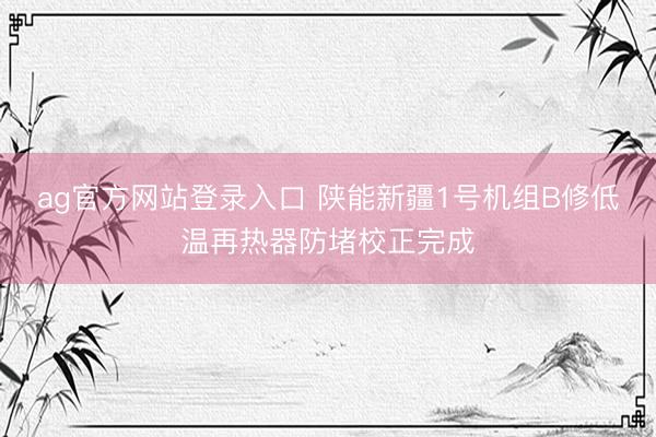 ag官方网站登录入口 陕能新疆1号机组B修低温再热器防堵校正完成