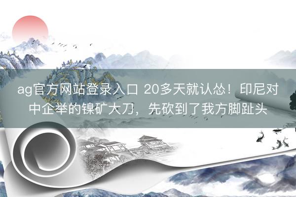 ag官方网站登录入口 20多天就认怂！印尼对中企举的镍矿大刀，先砍到了我方脚趾头