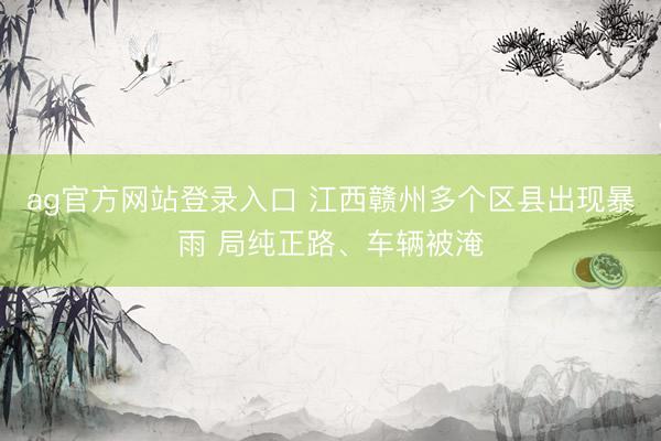 ag官方网站登录入口 江西赣州多个区县出现暴雨 局纯正路、车辆被淹