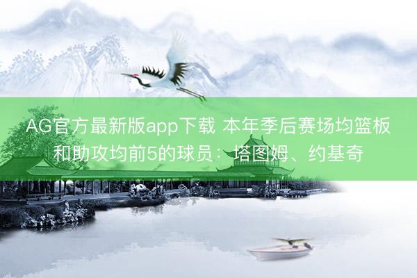 AG官方最新版app下载 本年季后赛场均篮板和助攻均前5的球员：塔图姆、约基奇